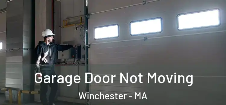  Garage Door Not Moving Winchester - MA