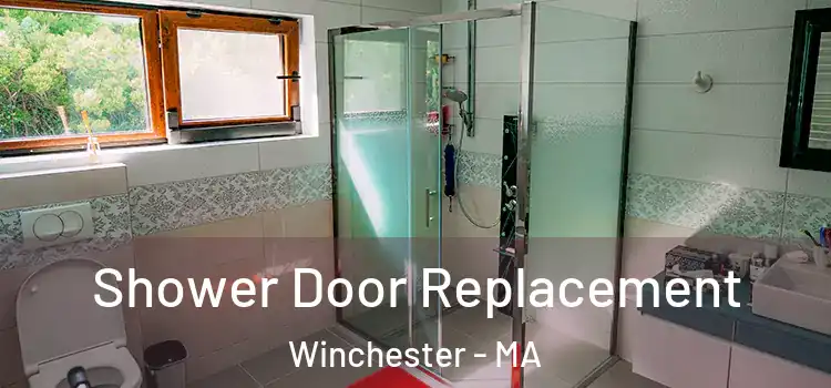  Shower Door Replacement Winchester - MA