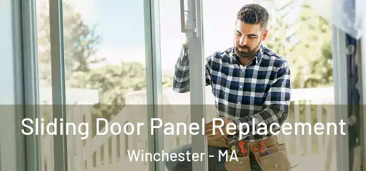  Sliding Door Panel Replacement Winchester - MA